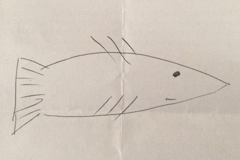 A crap attempt at a fish